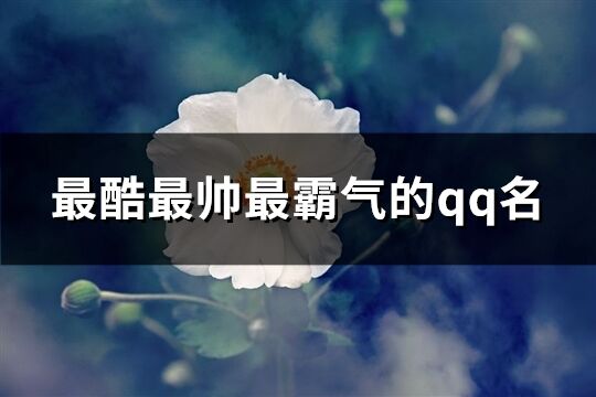 最酷最帅最霸气的qq名(共180个)