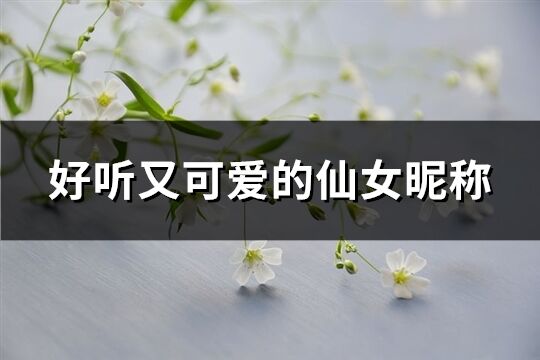 好听又可爱的仙女昵称(精选140个)