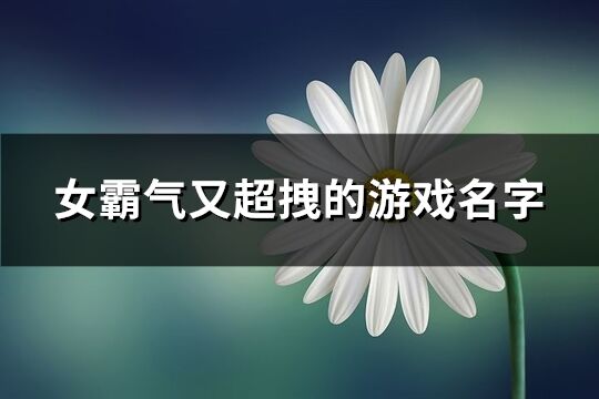 女霸气又超拽的游戏名字(共359个)