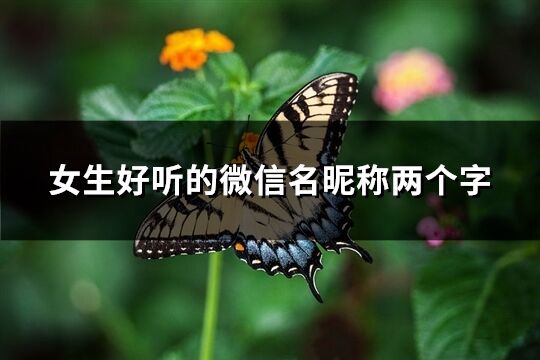 女生好听的微信名昵称两个字(优选1597个)