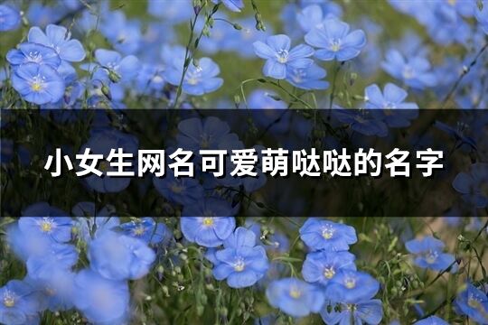 小女生网名可爱萌哒哒的名字(优选343个)