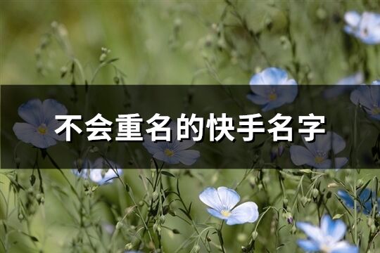 不会重名的快手名字(共243个)