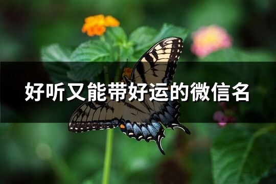 好听又能带好运的微信名(优选852个)