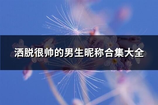 洒脱很帅的男生昵称合集大全(优选141个)