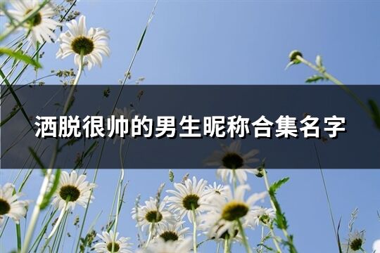 洒脱很帅的男生昵称合集名字(优选138个)