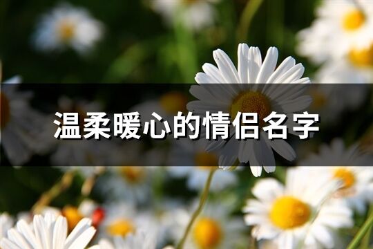 温柔暖心的情侣名字(114个)