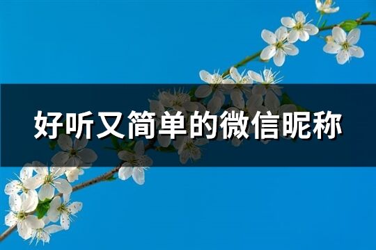 好听又简单的微信昵称(共1016个)