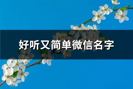 好听又简单微信名字(精选971个)