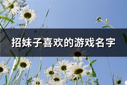 招妹子喜欢的游戏名字(优选146个)