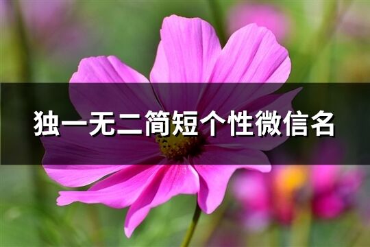 独一无二简短个性微信名(共1367个)