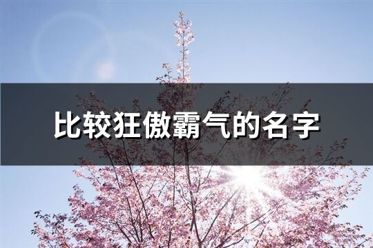 比较狂傲霸气的名字(优选427个)