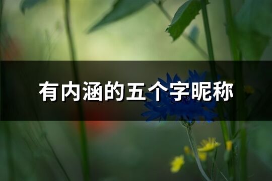 有内涵的五个字昵称(共683个)