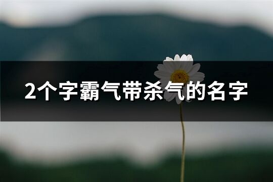 2个字霸气带杀气的名字(精选424个)