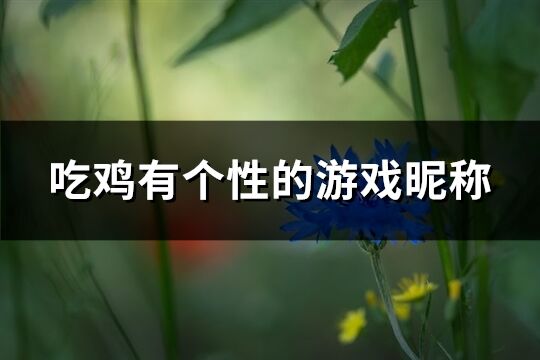 吃鸡有个性的游戏昵称(共194个)