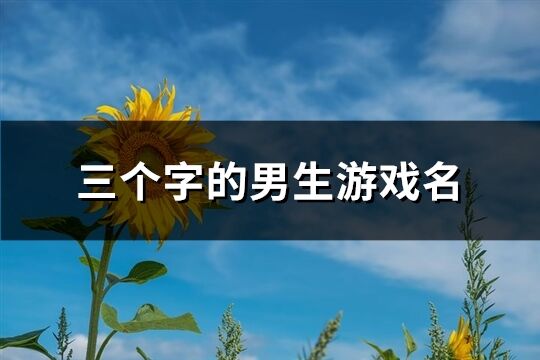 三个字的男生游戏名(优选341个)