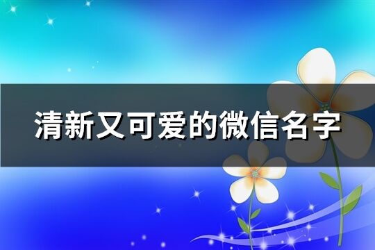 清新又可爱的微信名字(501个)