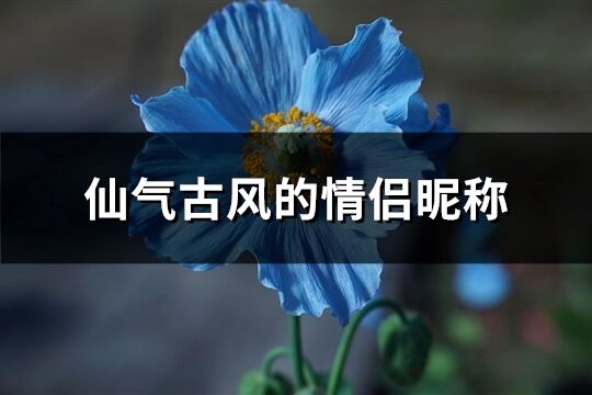 仙气古风的情侣昵称(共193个)