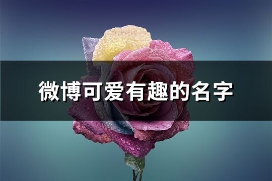 微博可爱有趣的名字(精选134个)