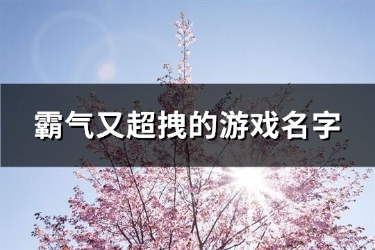 霸气又超拽的游戏名字(642个)