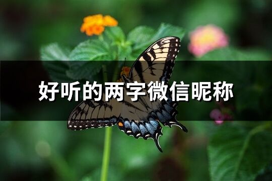 好听的两字微信昵称(精选1748个)