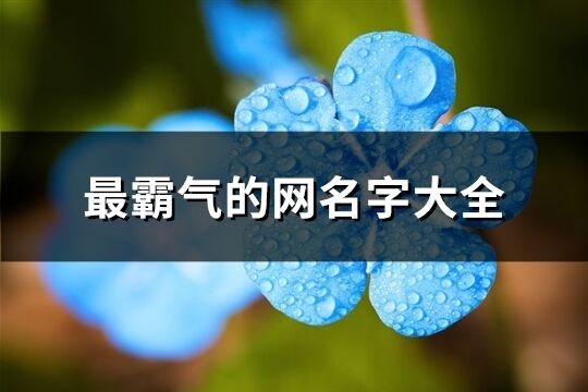 最霸气的网名字大全(精选345个)