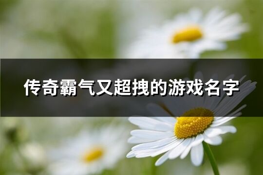 传奇霸气又超拽的游戏名字(共224个)