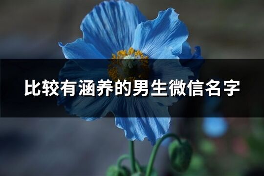 比较有涵养的男生微信名字(精选982个)