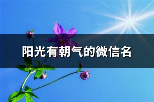 阳光有朝气的微信名(共407个)