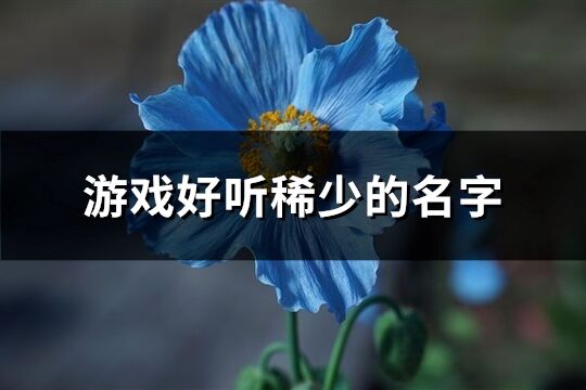 游戏好听稀少的名字(共183个)