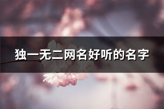 独一无二网名好听的名字(199个)