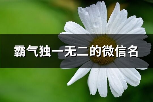 霸气独一无二的微信名(649个)