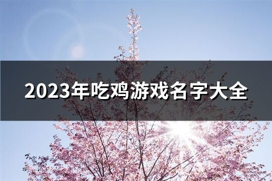 2023年吃鸡游戏名字大全(精选306个)