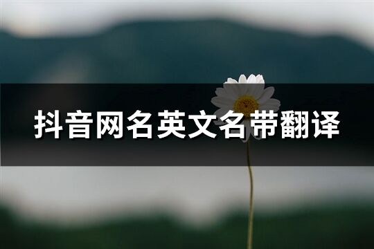 抖音网名英文名带翻译(共148个)