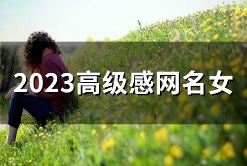 2023高级感网名女 2023独特霸气网名