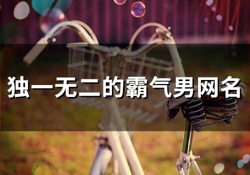 独一无二的霸气男网名(292个)