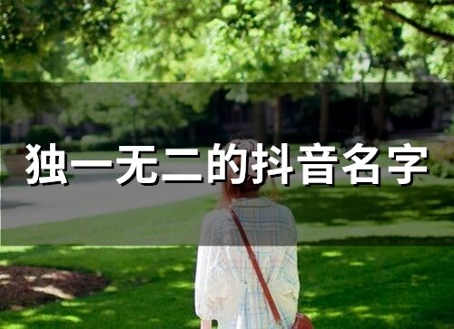 独一无二的抖音名字(精选72个)