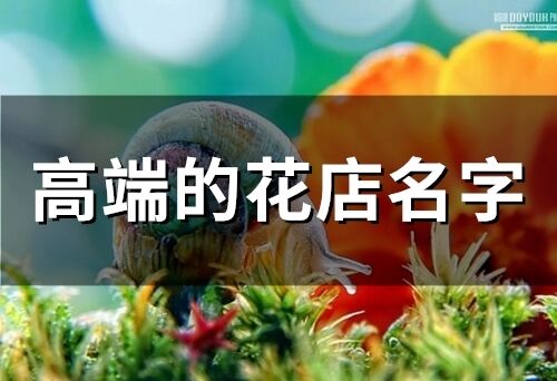 高端的花店名字(精选187个)