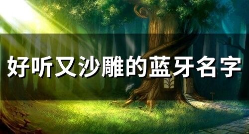 好听又沙雕的蓝牙名字(精选125个)