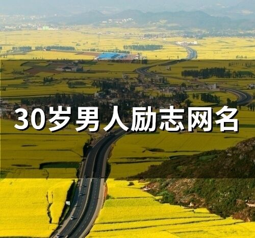 30岁男人励志网名(103个)