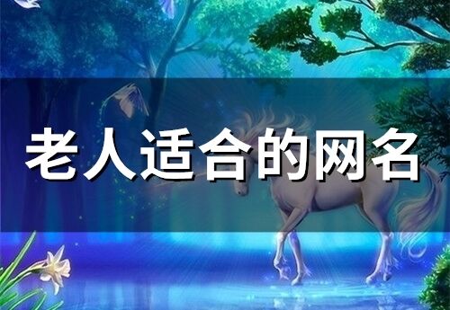 老人适合的网名(158个)