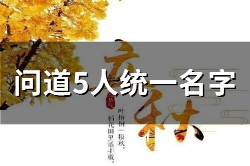 问道5人统一名字(74个)