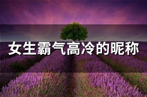 女生霸气高冷的昵称(精选413个)