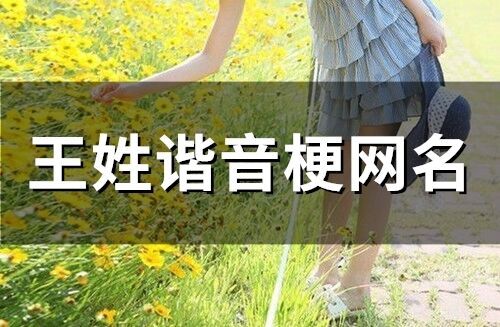 王姓谐音梗网名(34个)