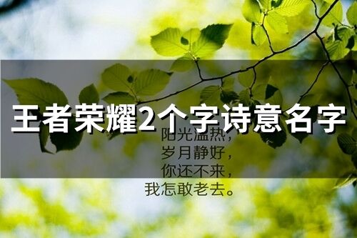 王者荣耀2个字诗意名字 王者荣耀两个字的名字推荐