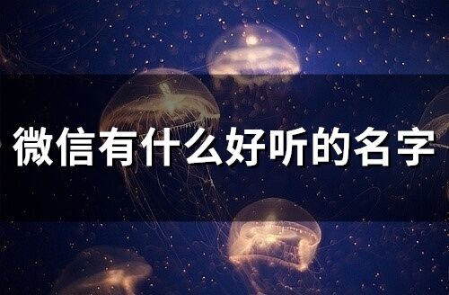 微信有什么好听的名字 取好听的微信名字大全