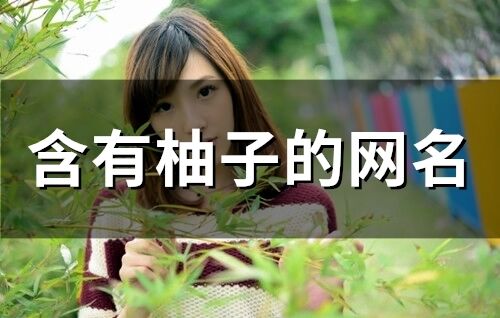 含有柚子的网名