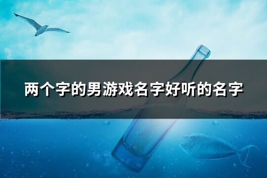 两个字的男游戏名字好听的名字 2个字男的游戏名字(669个)