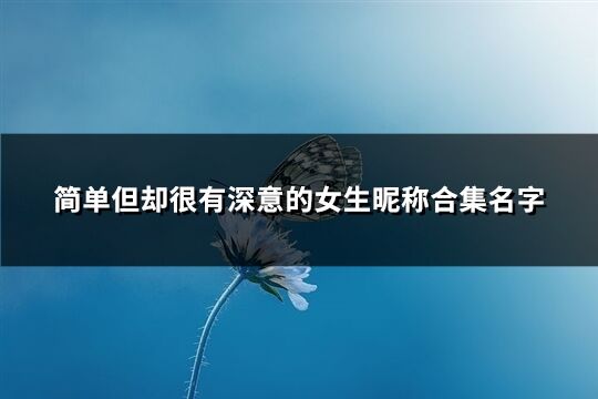 简单但却很有深意的女生昵称合集名字(共214个)