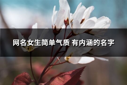 网名女生简单气质 有内涵的名字(70个)