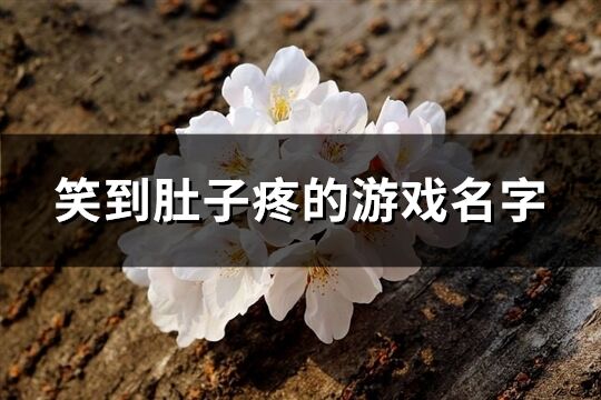 笑到肚子疼的游戏名字(优选140个)